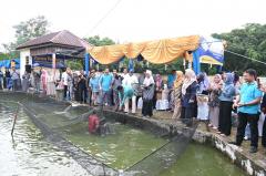 Rektor Unri Panen Perdana, Kolam Ikan Fakultas Perikanan Segera Digarap Komersial